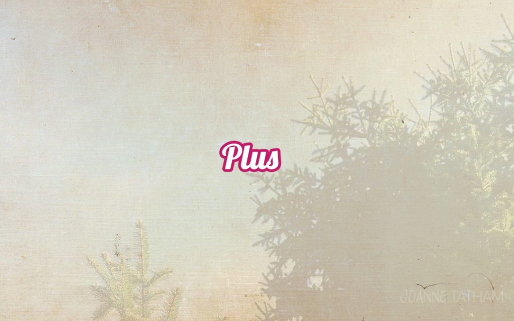Plus
