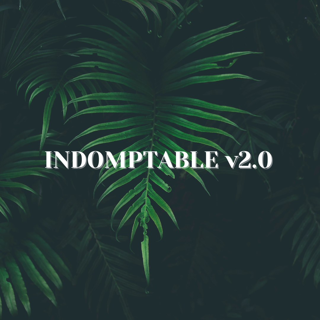 Indomptable v2.0
