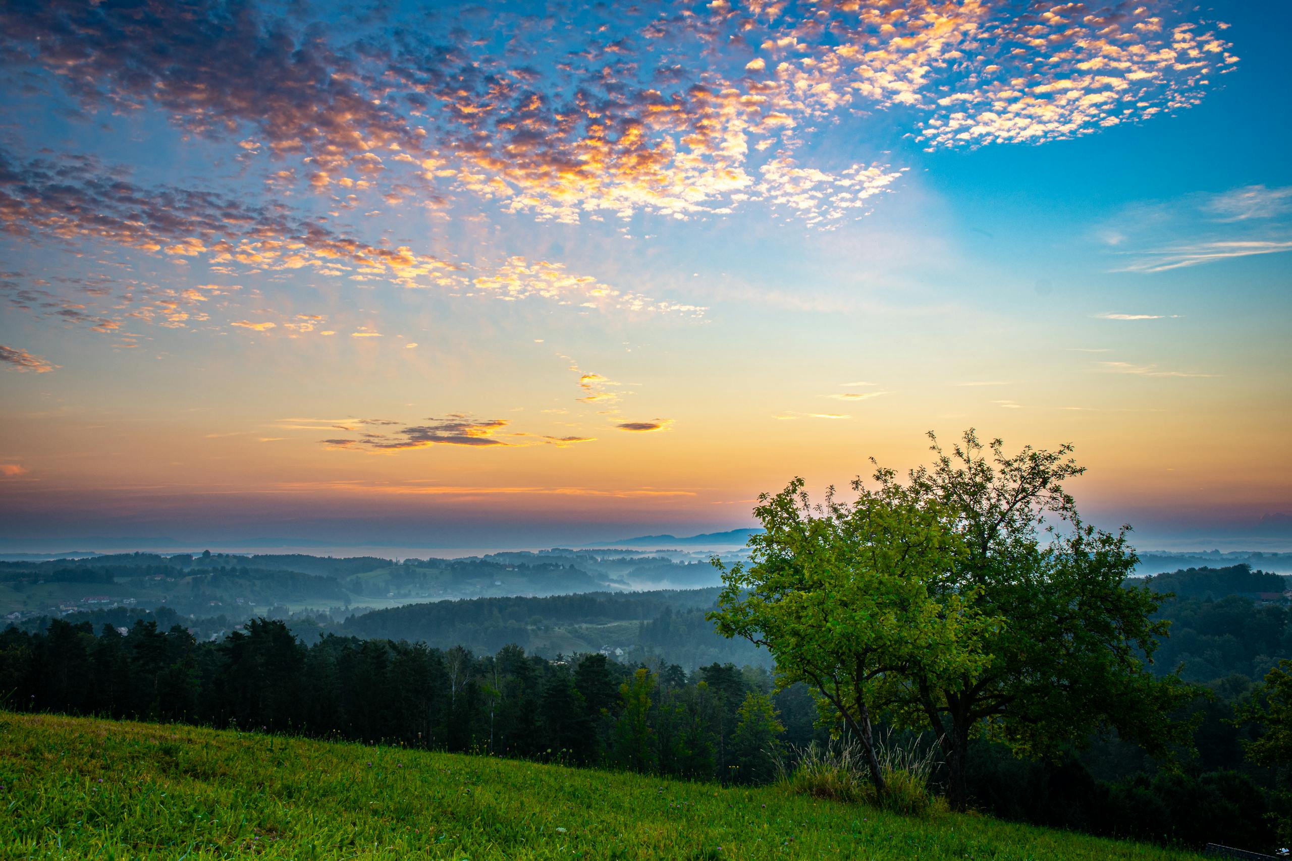 Colorful sunrise over a misty rural landscape with a solitary tree and scenic horizon.